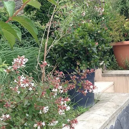 酒店 Royal 萨潘贾