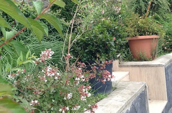 Szálloda Royal Sapanca